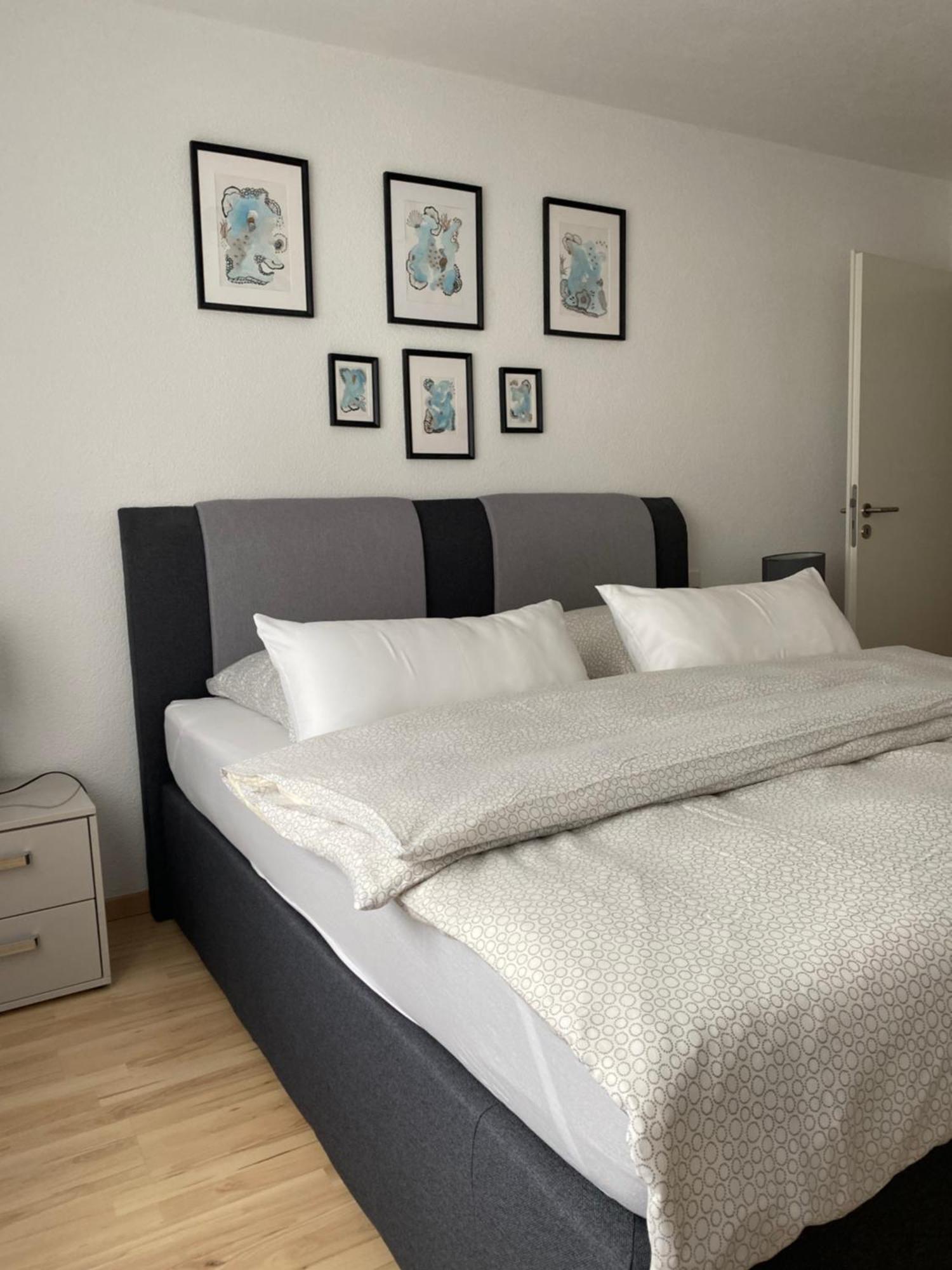 Gemuetliches City Apartment FDH المظهر الخارجي الصورة